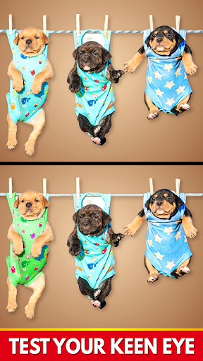 Айырмашылықтарды тап – Бақылау ойыны